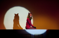 Children theatre company Stekelbaars playing "Minoes" from Annie M.G. Schmidt, directed by Roel Lauwens (Belgium, 20/01/2012)