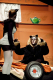 Children theatre company Stekelbaars playing "Minoes" from Annie M.G. Schmidt, directed by Roel Lauwens (Belgium, 20/01/2012)