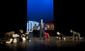 Children theatre company Stekelbaars playing "Minoes" from Annie M.G. Schmidt, directed by Roel Lauwens (Belgium, 20/01/2012)